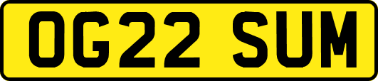 OG22SUM