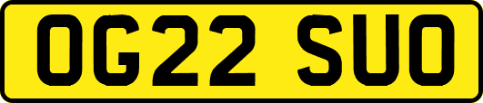 OG22SUO