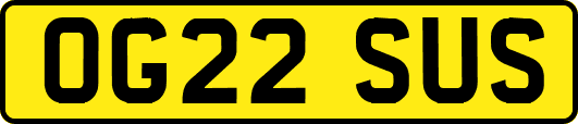 OG22SUS