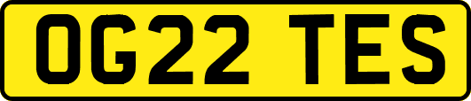 OG22TES