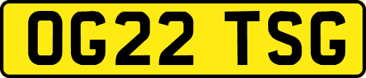 OG22TSG