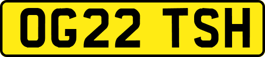 OG22TSH