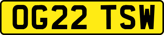 OG22TSW