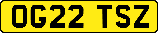 OG22TSZ