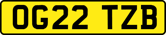 OG22TZB
