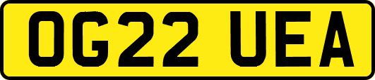 OG22UEA