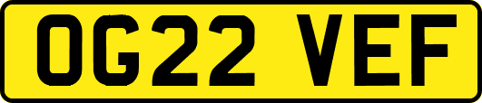 OG22VEF