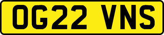 OG22VNS