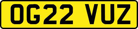 OG22VUZ