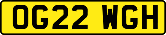 OG22WGH