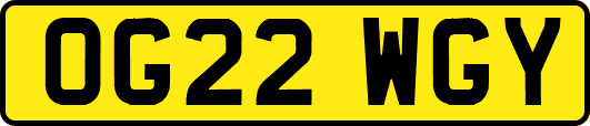 OG22WGY