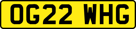 OG22WHG
