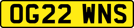OG22WNS