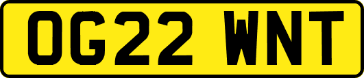 OG22WNT
