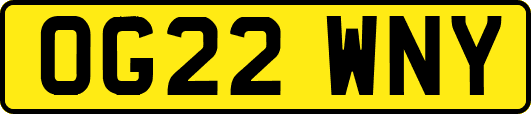 OG22WNY