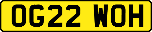 OG22WOH