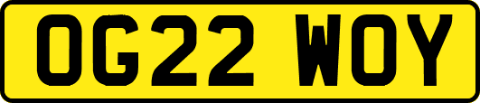 OG22WOY