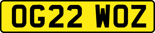 OG22WOZ