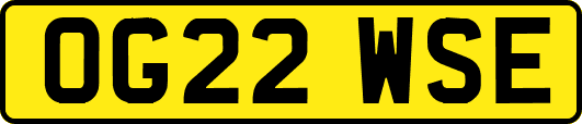 OG22WSE