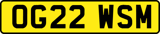 OG22WSM
