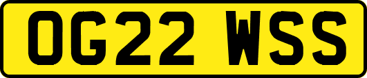 OG22WSS
