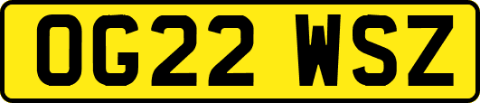 OG22WSZ