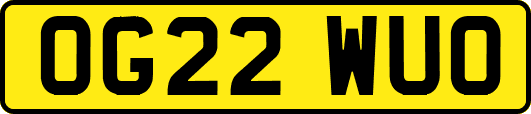 OG22WUO