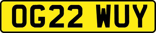 OG22WUY
