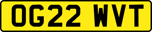 OG22WVT