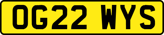 OG22WYS