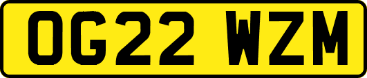OG22WZM