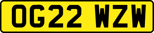 OG22WZW