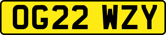 OG22WZY
