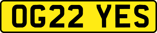 OG22YES