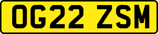 OG22ZSM