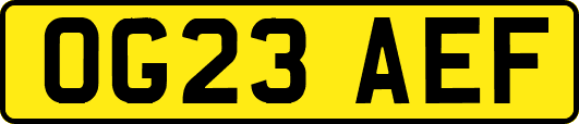 OG23AEF