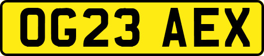 OG23AEX
