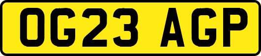 OG23AGP