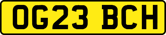 OG23BCH