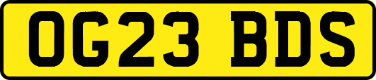 OG23BDS