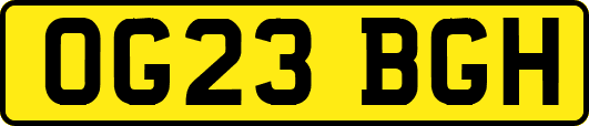 OG23BGH