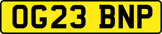 OG23BNP