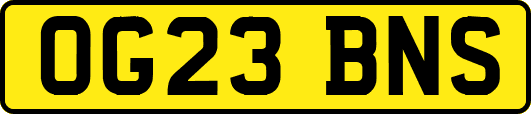 OG23BNS