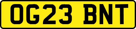OG23BNT
