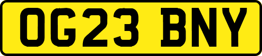 OG23BNY