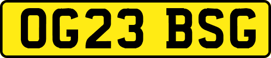 OG23BSG