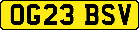 OG23BSV
