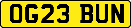 OG23BUN