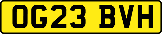 OG23BVH