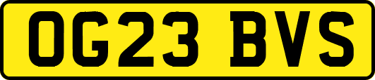 OG23BVS